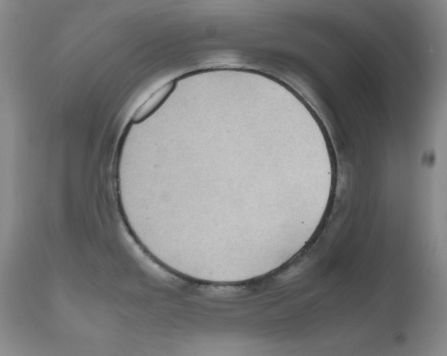 X0000110951293200907311032