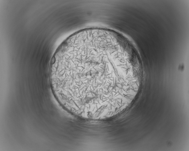 X0000110951295200907311032