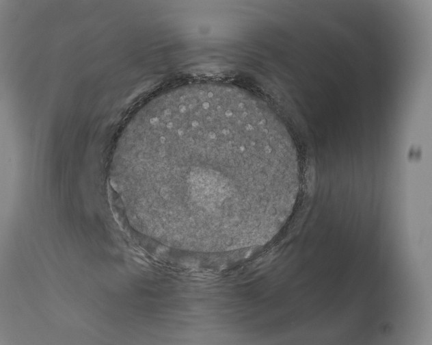 X0000110951297200907311031