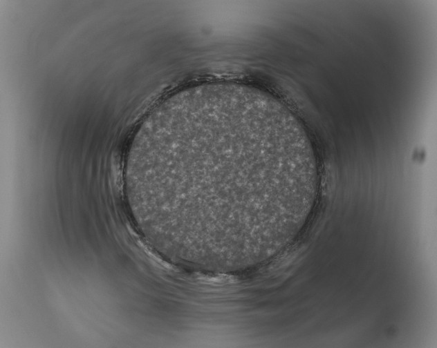 X0000110951298200907311031