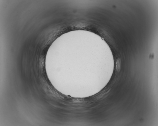 X0000110951299200907311031