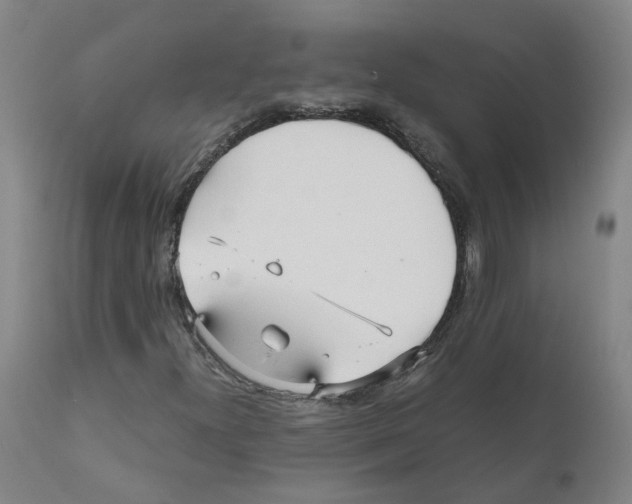 X0000110951300200907311031