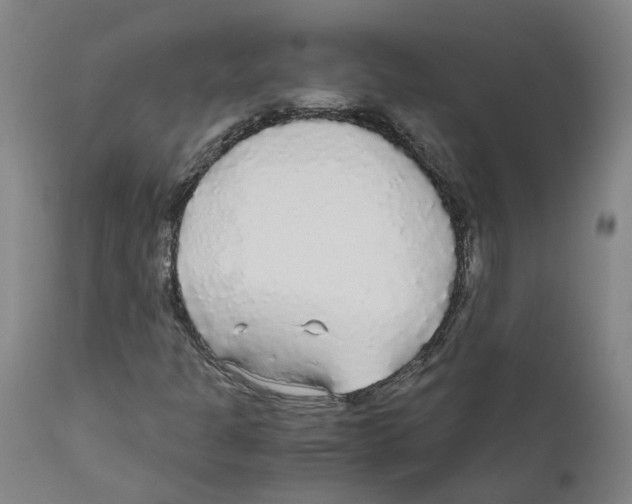 X0000110951301200907311032
