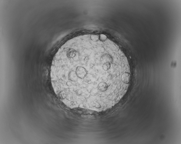 X0000110951302200907311032