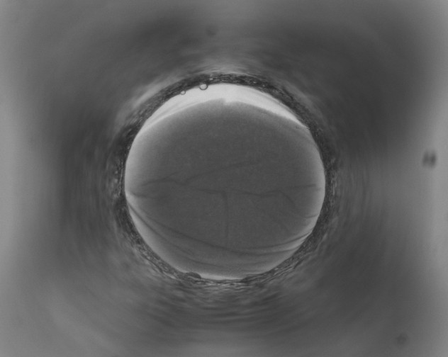X0000110951303200907311032
