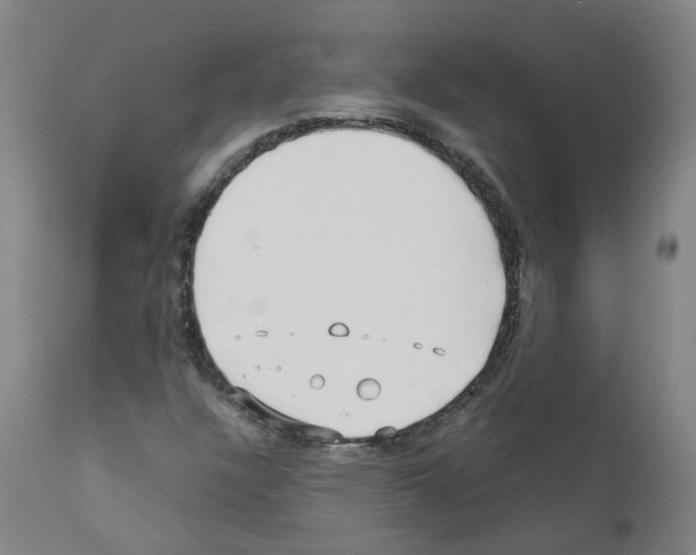 X0000110951304200907311032