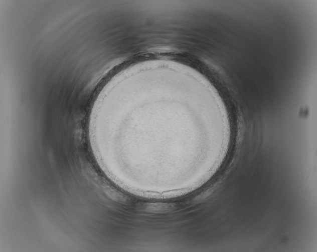 X0000110951305200907311032