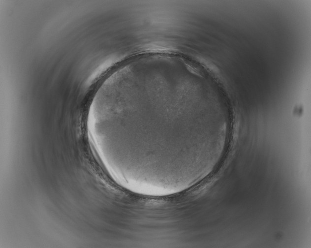 X0000110951306200907311032