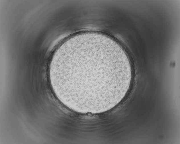 X0000110951307200907311032