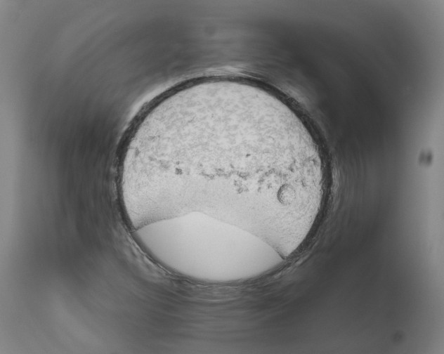 X0000110951308200907311032