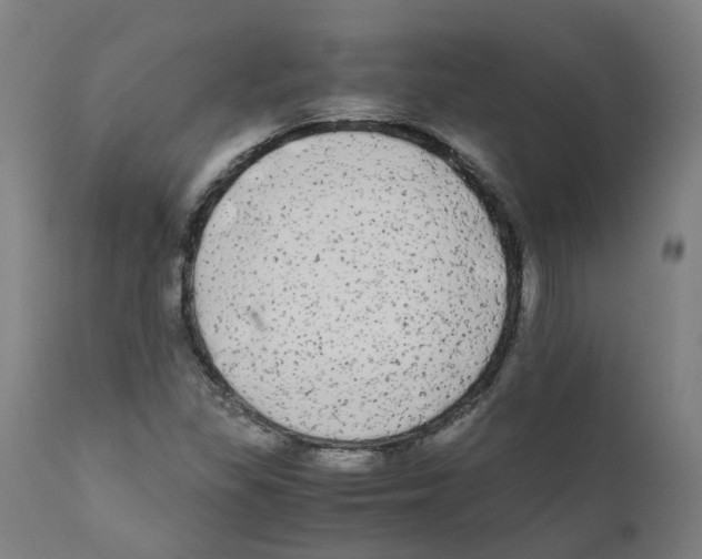 X0000110951309200907311032