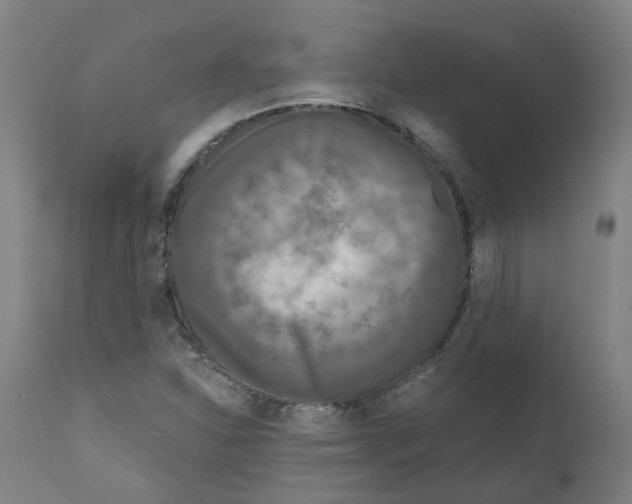 X0000110951310200907311032