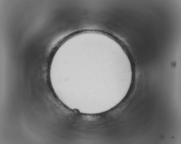 X0000110951311200907311032