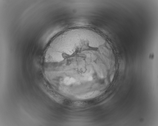 X0000110951314200907311032