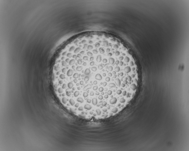 X0000110951315200907311032