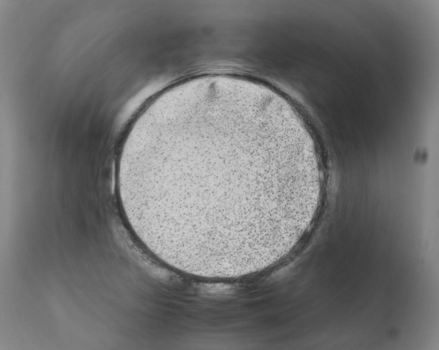 X0000110951317200907311032