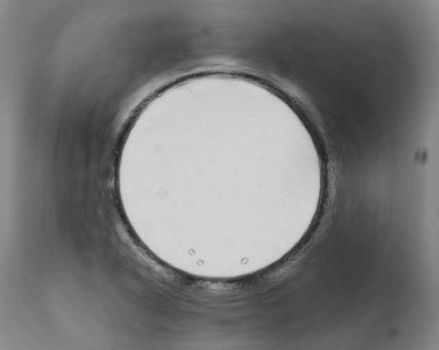 X0000110951318200907311032