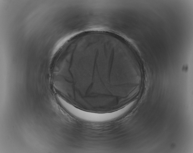 X0000110951319200907311032