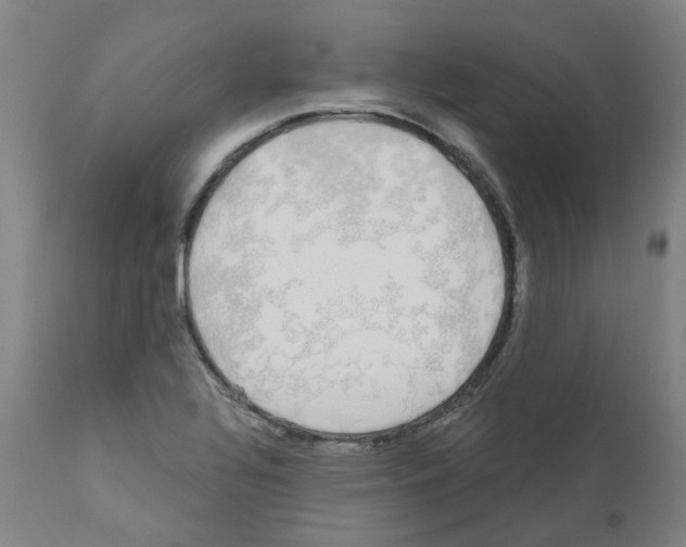 X0000110951320200907311032