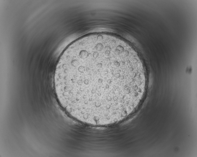 X0000110951321200907311032