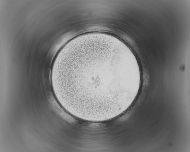 X0000110951322200907311032