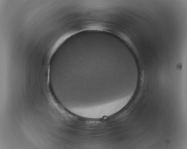 X0000110951323200907311032