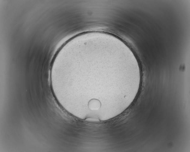 X0000110951324200907311032