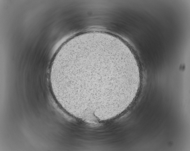 X0000110951325200907311032