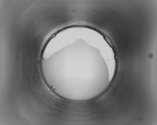 X0000110951326200907311032