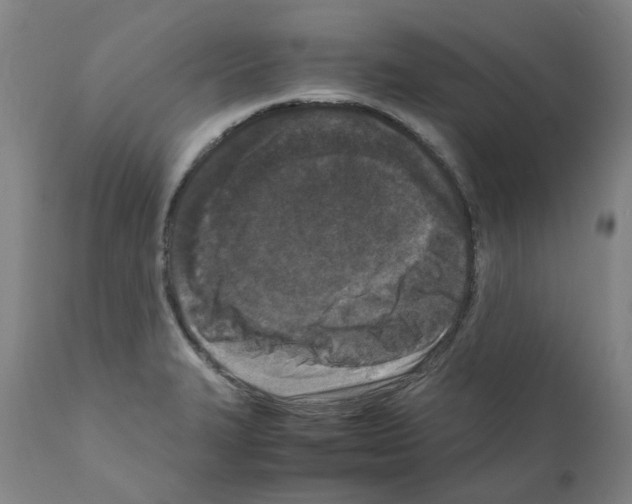 X0000110951327200907311032