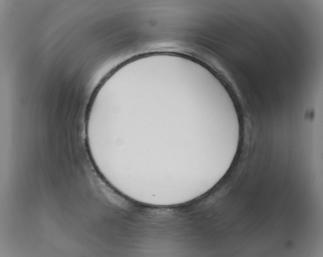 X0000110951328200907311032