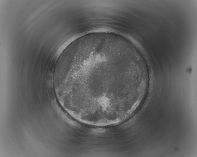 X0000110951329200907311032