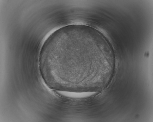 X0000110951331200907311032