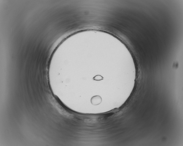 X0000110951332200907311032