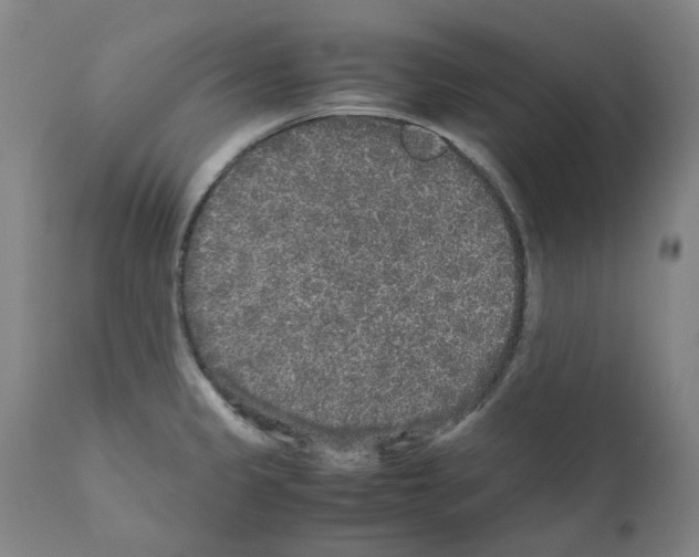 X0000110951333200907311032