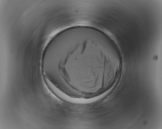 X0000110951334200907311032