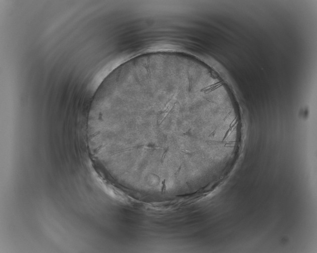 X0000110951337200907311032