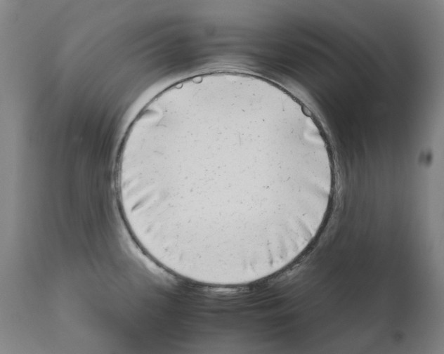 X0000110951339200907311032