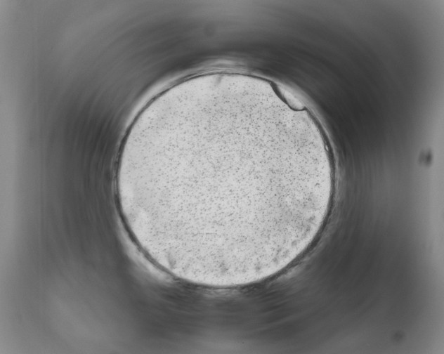 X0000110951341200907311032