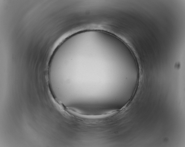 X0000110951342200907311032
