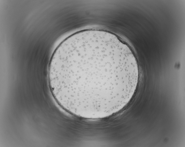 X0000110951343200907311032