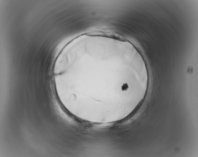 X0000110951344200907311032