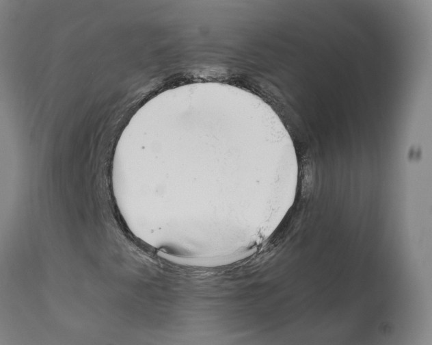X0000110951345200907311031