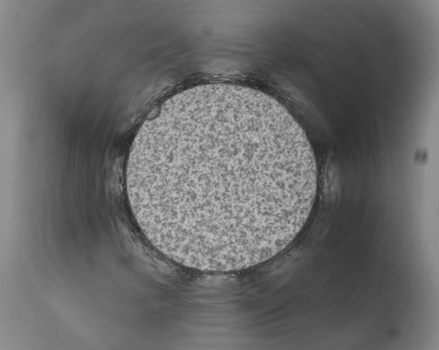 X0000110951346200907311031