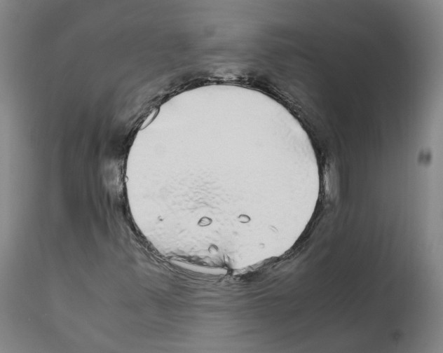 X0000110951347200907311031