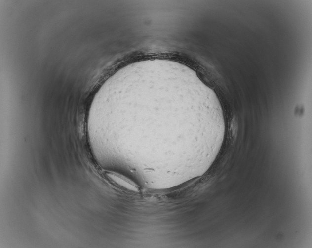 X0000110951348200907311031