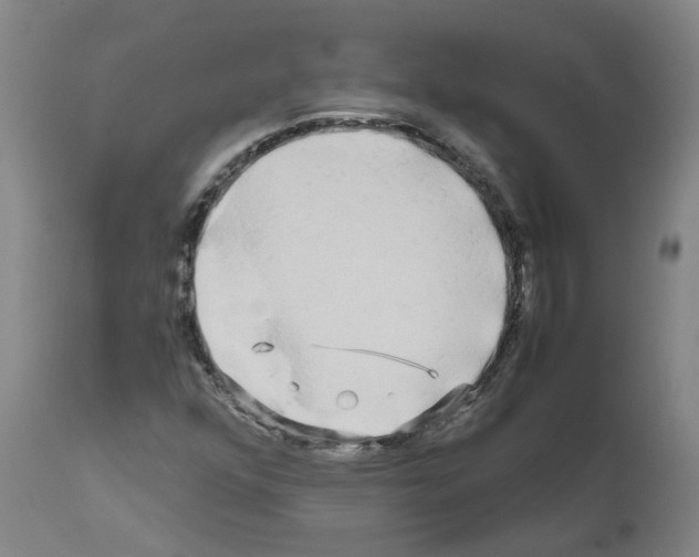 X0000110951352200907311031
