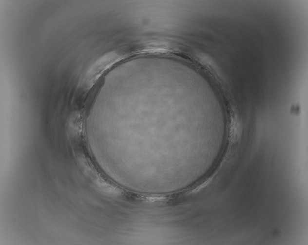 X0000110951353200907311031