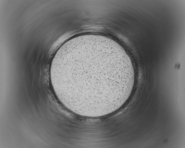X0000110951354200907311031