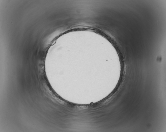 X0000110951355200907311031